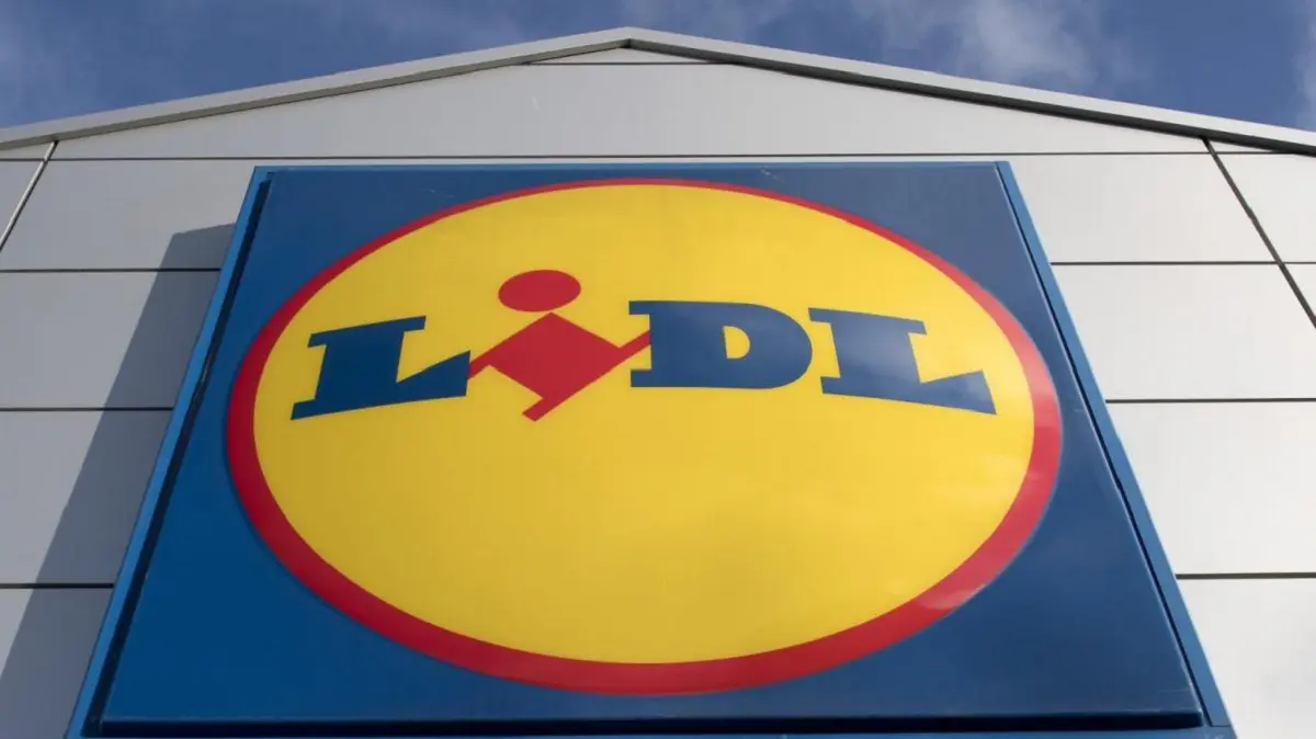 France : la destination Algérie débarque chez « Lidl Voyages »