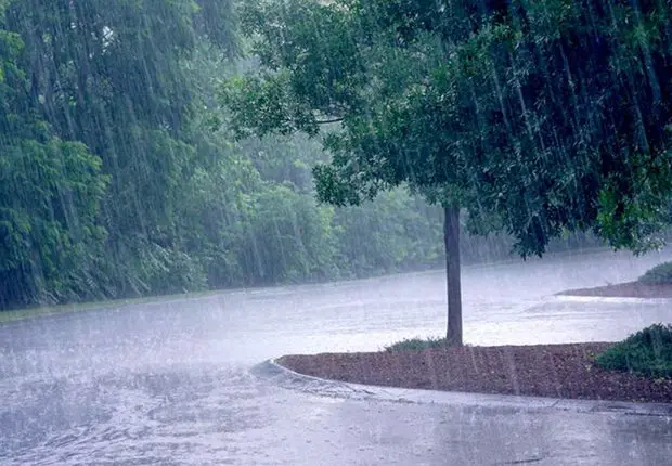 Météo : pluies orageuses sur 5 wilayas du pays