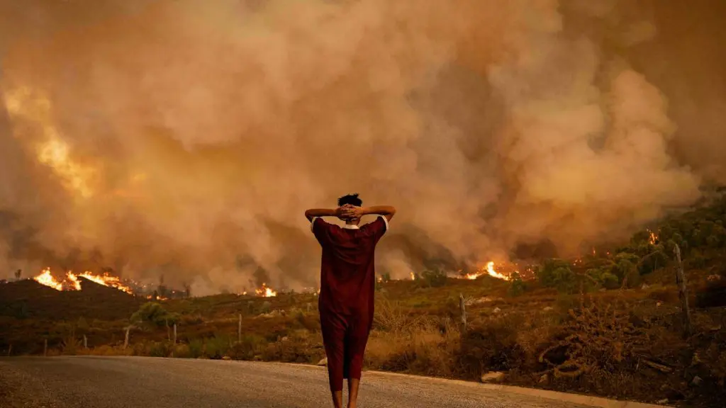 Incendies en Algérie : le dernier bilan des arrestations