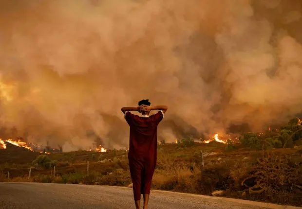 Incendies en Algérie : le dernier bilan des arrestations