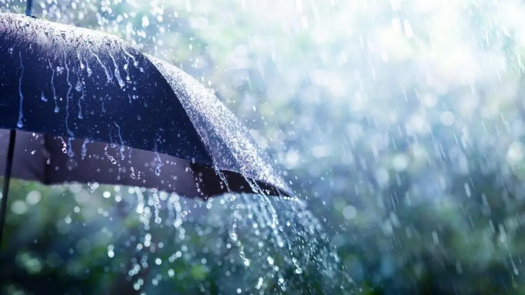 Météo : retour des pluies orageuses dans 5 wilayas  