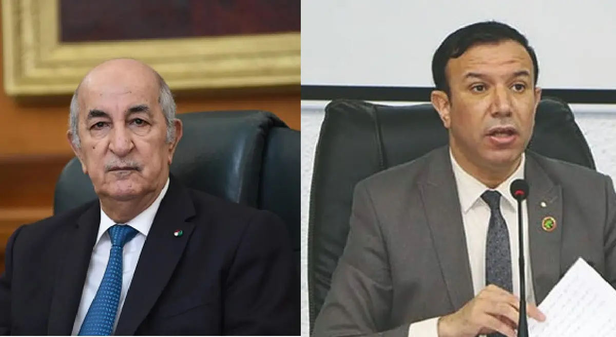 Économie : qu&rsquo;attend Tebboune du nouveau CNESE ?