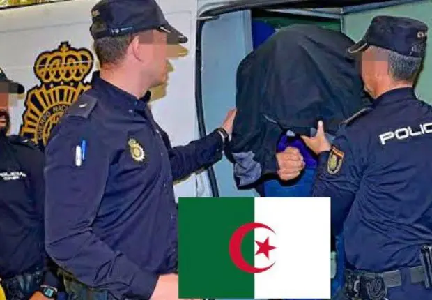 Espagne : la police fait tomber un irréductible délinquant algérien