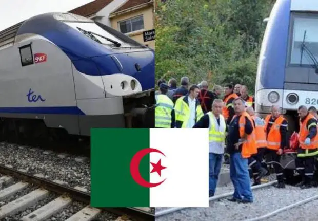 Accident de train en France : plusieurs morts, dont des Algériens