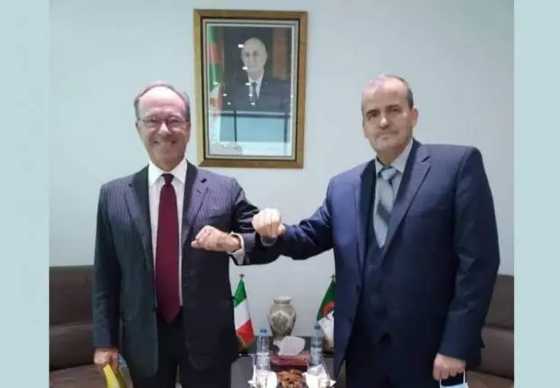 Le concept « gagnant-gagnant » de Rezig à l’épreuve du marché mondial