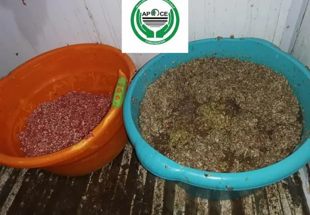 Oran : de la viande hachée mélangée à un « conservateur de cadavres »