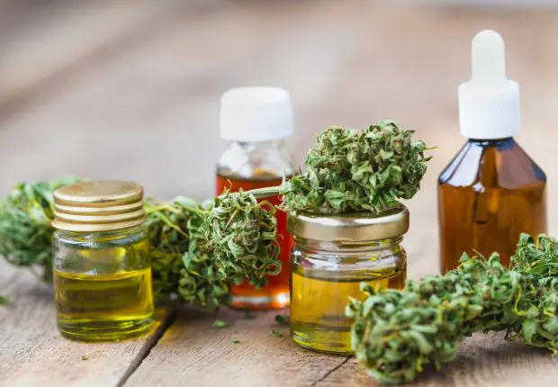 Fleurs, résines et huiles de CBD : quelles sont les différentes qualités disponibles ?