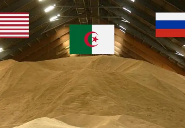 Blé : après l’UE et la Russie, les USA guettent le marché algérien