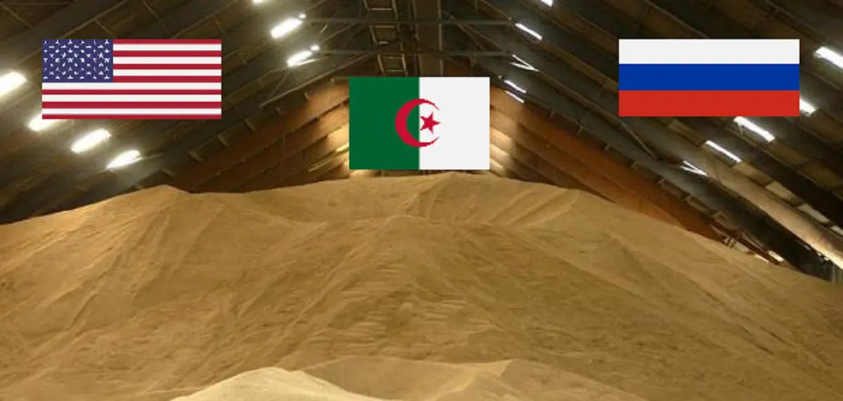 Blé : après l’UE et la Russie, les USA guettent le marché algérien