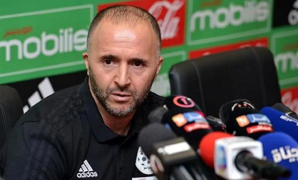 Djamel Belmadi : les raisons de l’échec des verts à la CAN 2022
