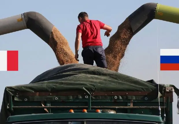 Blé : entre la France et la Russie, l’Algérie change de fusil d’épaule