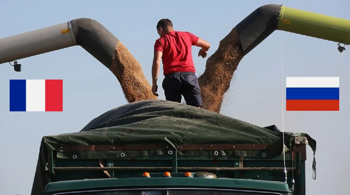 Blé : entre la France et la Russie, l’Algérie change de fusil d’épaule