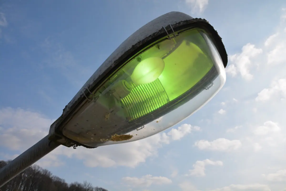 Alger : un éco-projet pour faire sortir Mahelma de l’ombre