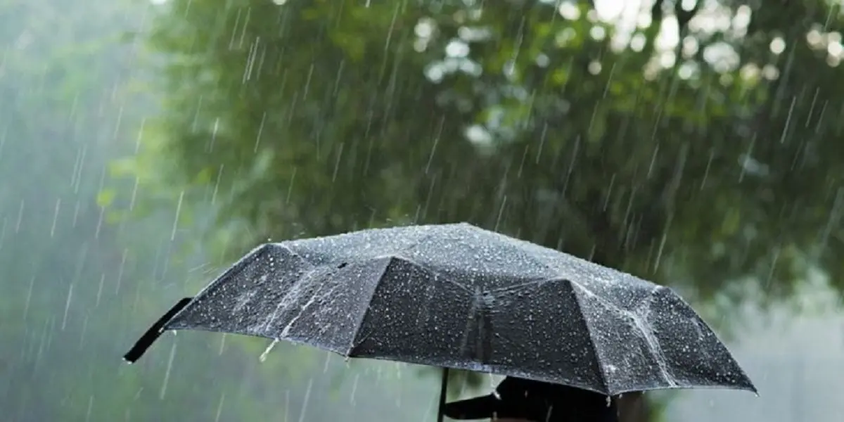 Prévisions Météo : de la pluie dans 5 wilayas ce vendredi 1er octobre