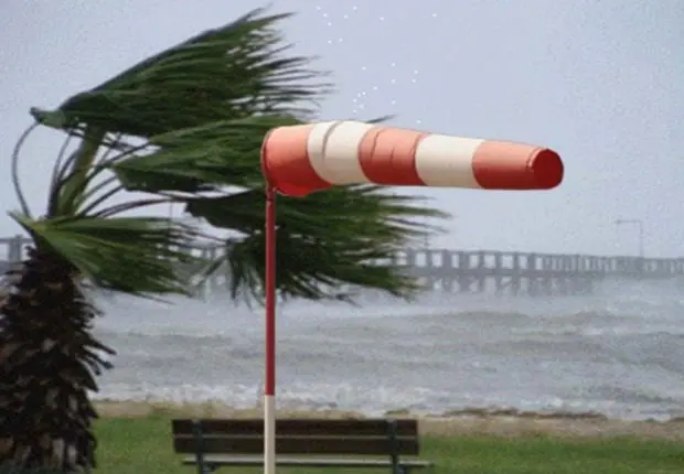 Météo : vents violents dans plusieurs wilayas côtières
