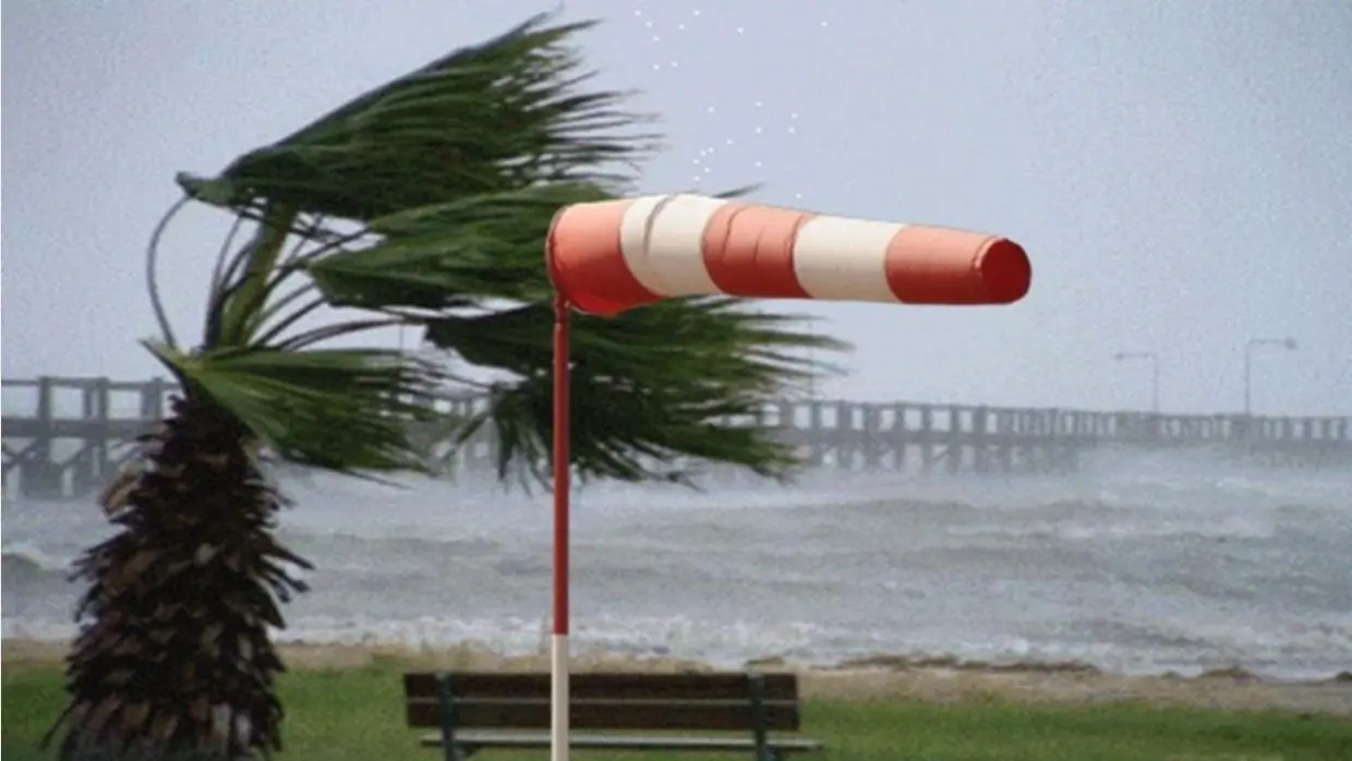 Météo : vents violents dans plusieurs wilayas côtières