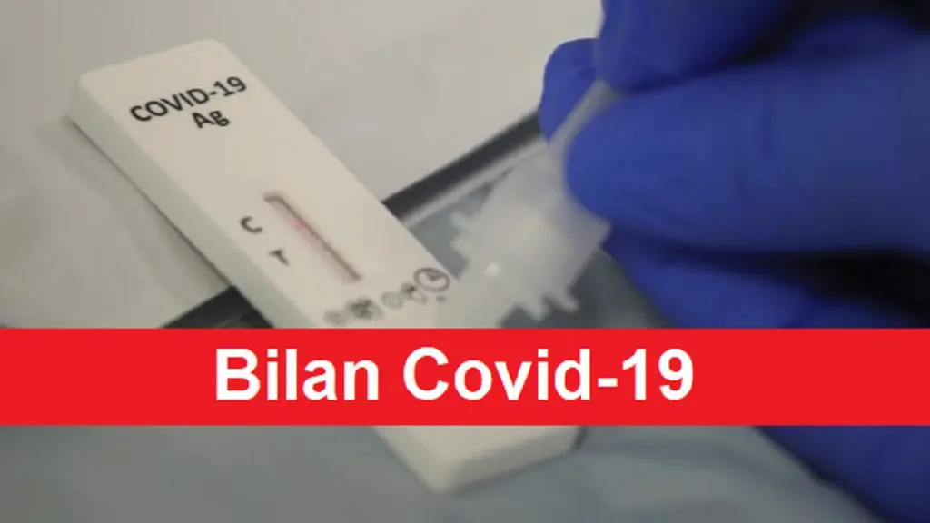 Covid-19 : le bilan détaillé de ce 24 octobre