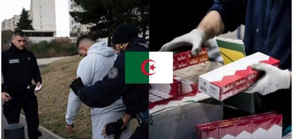 France : le trafic de cigarettes fait tomber un Algérien