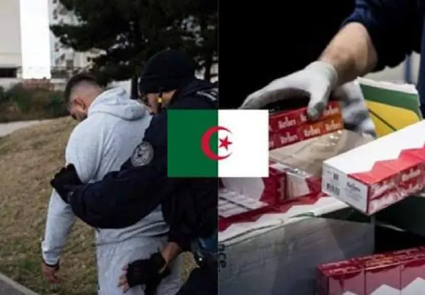 France : le trafic de cigarettes fait tomber un Algérien