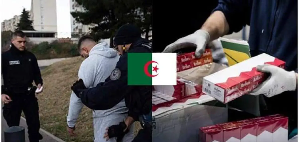 France : le trafic de cigarettes fait tomber un Algérien