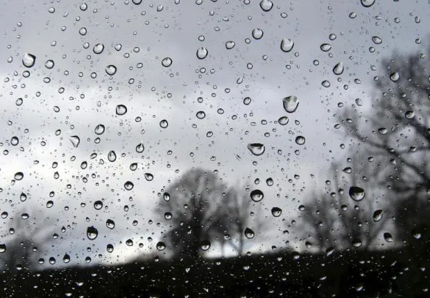 Météo Algérie : la pluie se poursuit dans 4 wilayas ce 11 novembre