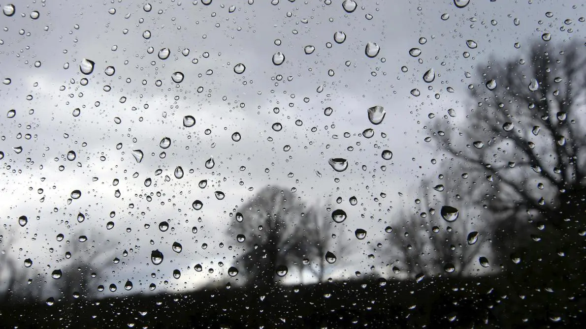 Météo Algérie : la pluie se poursuit dans 4 wilayas ce 11 novembre
