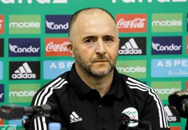 Coupe du Monde 2022 : Djamel Belmadi livre ses attentes