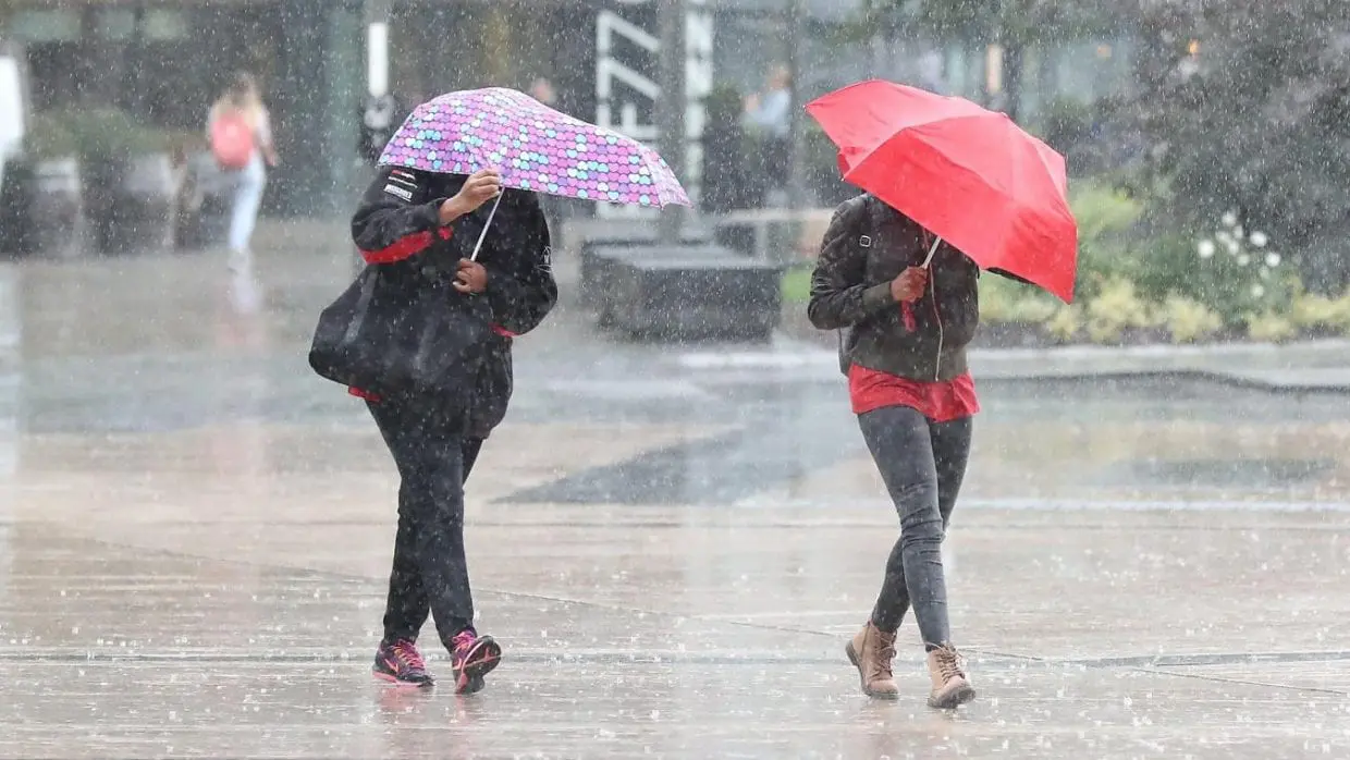 Alerte Météo : pluie orageuse et vent violent sur plusieurs wilayas