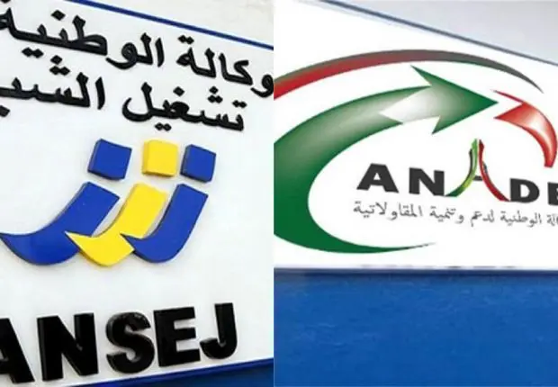 Dettes Ansej : la saisie et les poursuites seront-elles écartées ?