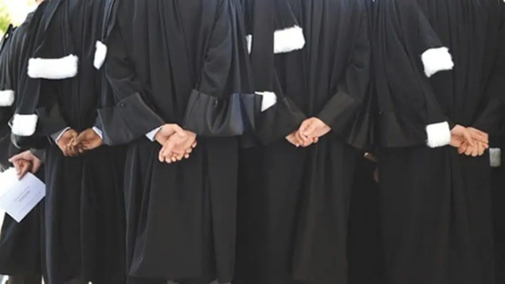 PLF 2022 et loi sur profession : les avocats montent au créneau