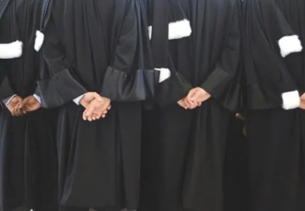 PLF 2022 et loi sur profession : les avocats montent au créneau