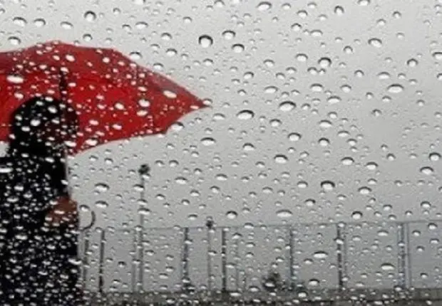 Météo : pluies abondantes sur 10 wilayas ce vendredi 12 novembre