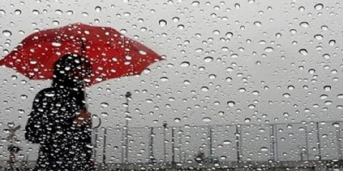 Météo : pluies abondantes sur 10 wilayas ce vendredi 12 novembre