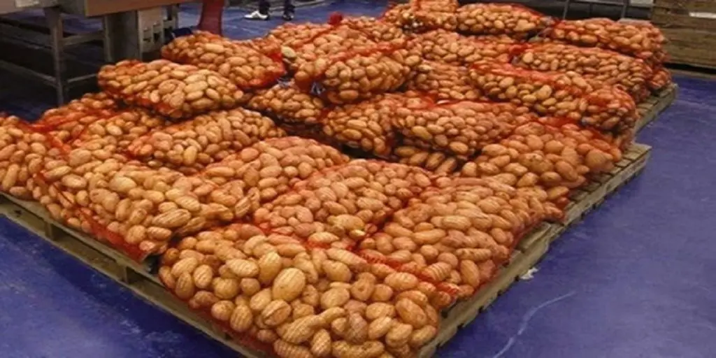 Hausse des prix de la pomme de terre : le ministère passe à l&rsquo;action