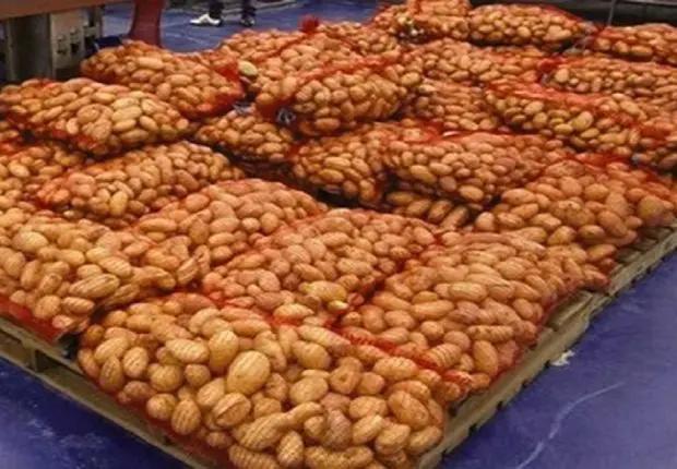 Flambée des prix de pomme de terre : le ministère contre-attaque