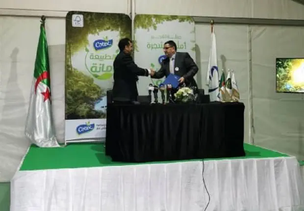 Campagne de reboisement : un partenariat entre la DG des Forêts et Cotex