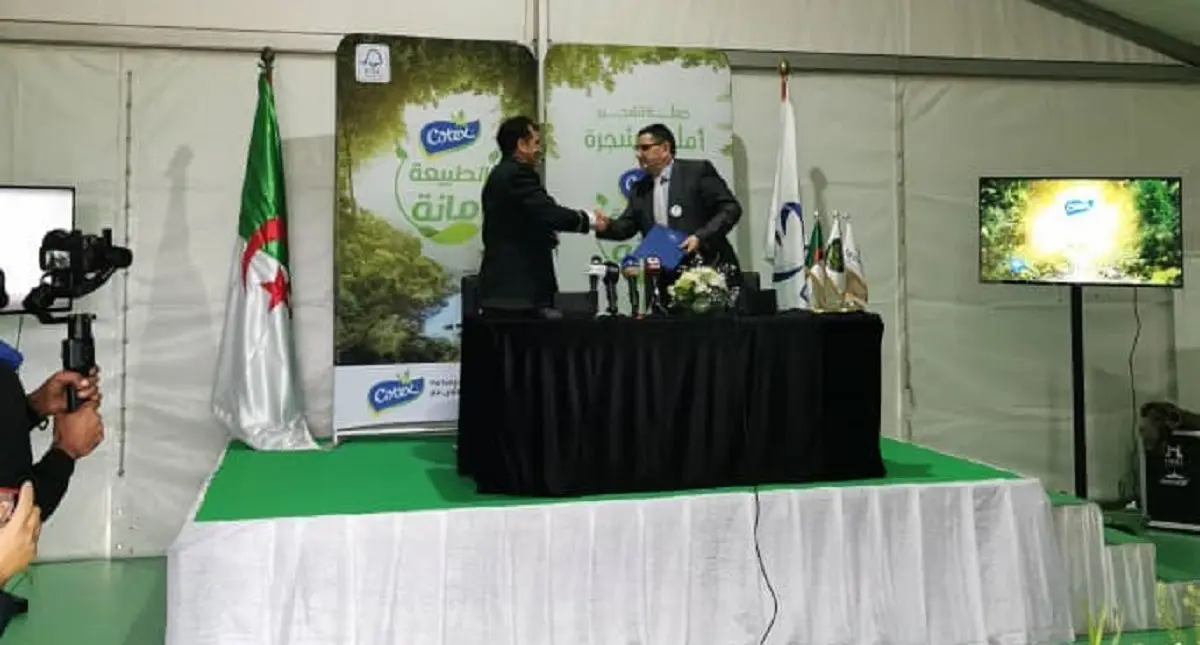 Campagne de reboisement : un partenariat entre la DG des Forêts et Cotex