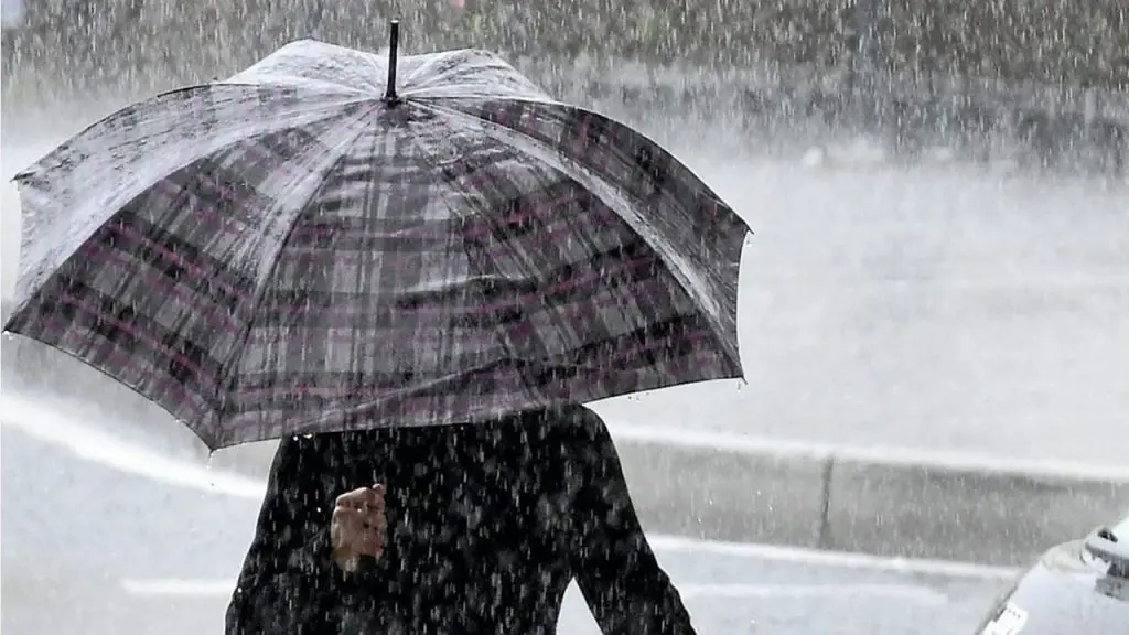 Prévisions météo : pluies et neige sur plusieurs wilayas
