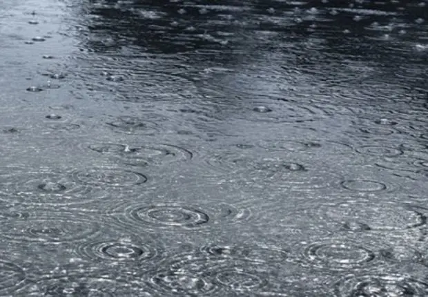 Alerte Météo : pluies orageuses sur 3 wilayas ce vendredi 19 novembre