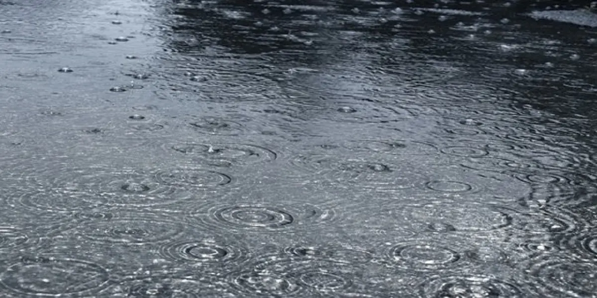 Alerte Météo : pluies orageuses sur 3 wilayas ce vendredi 19 novembre