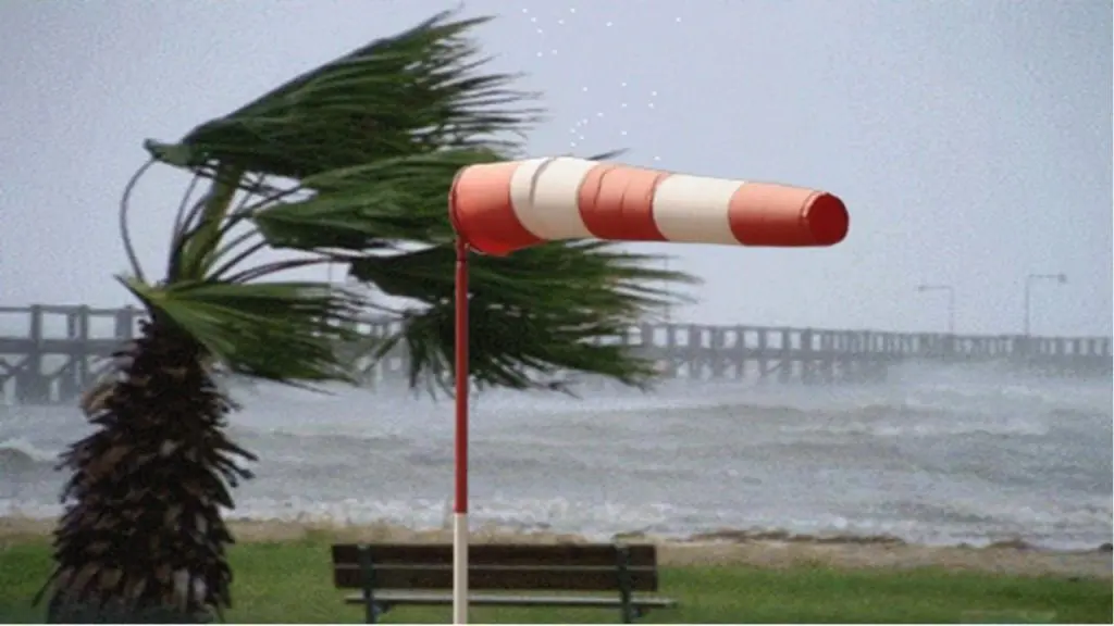 Météo : vents violents dans 11 wilayas du nord