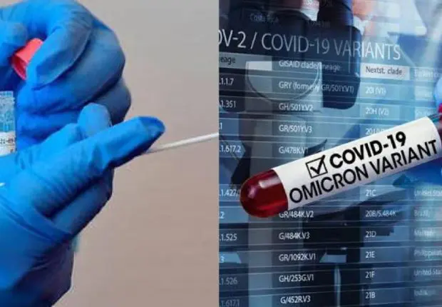 France : un premier cas officiel du variant Omicron s’ajoute à un bilan déjà lourd