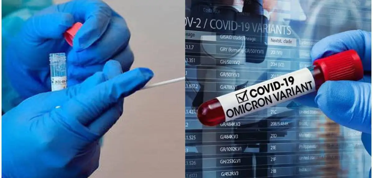 France : un premier cas officiel du variant Omicron s’ajoute à un bilan déjà lourd