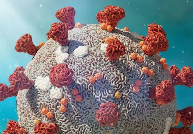 Différence entre les variants Omicron et Delta : l’OMS fait le point