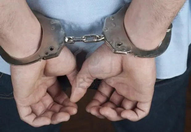 Autriche : la police fait tomber un « voleur en série » algérien
