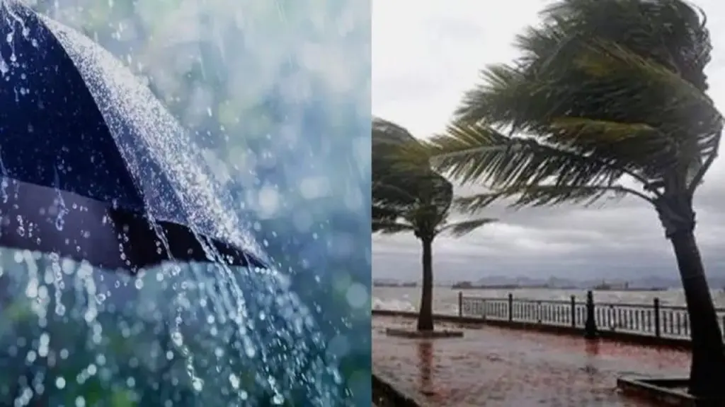 Météo Algérie : alerte pluie et vent sur 21 wilayas pour ce 12 mars