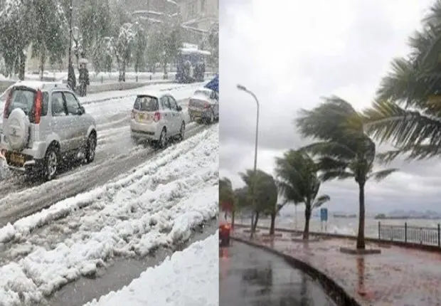 Alerte Météo : pluie, neige et vent violent sur plusieurs wilayas