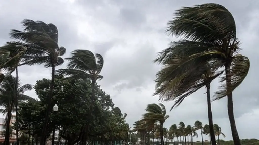 Météo Algérie : alerte vents violents sur les côtes centre et ouest
