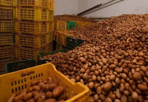 Hausse des prix de la pomme de terre : une première tête tombe