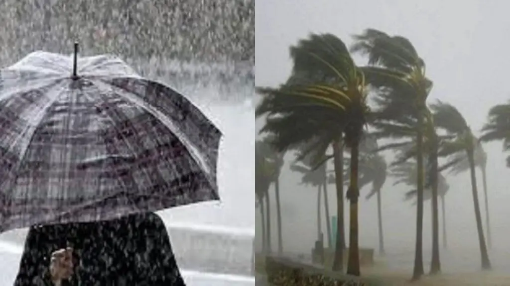 Alerte Météo : pluies et vents violents sur plusieurs wilayas